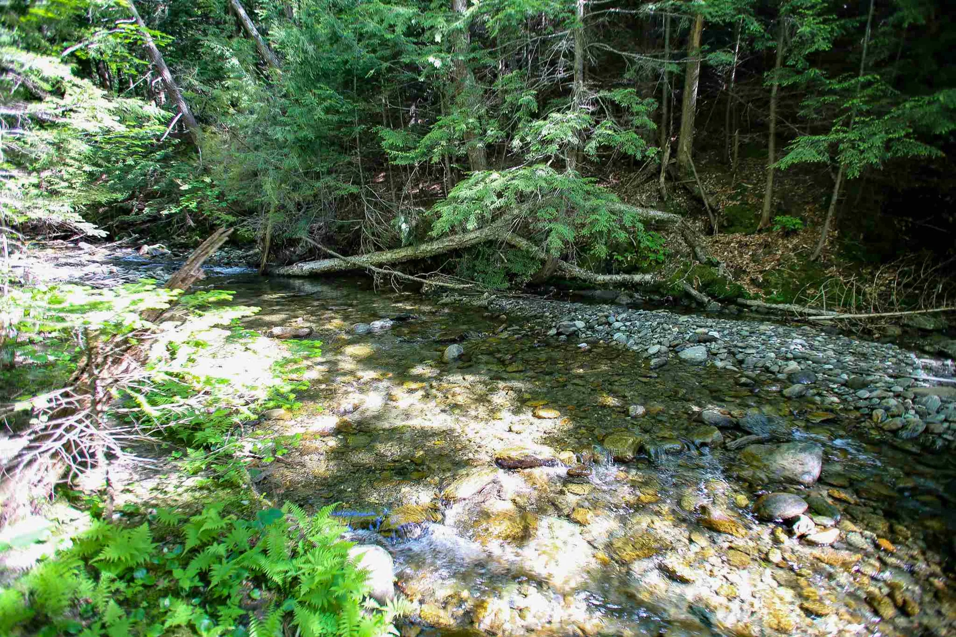 105 Mountain View Drive Jay VT 05859