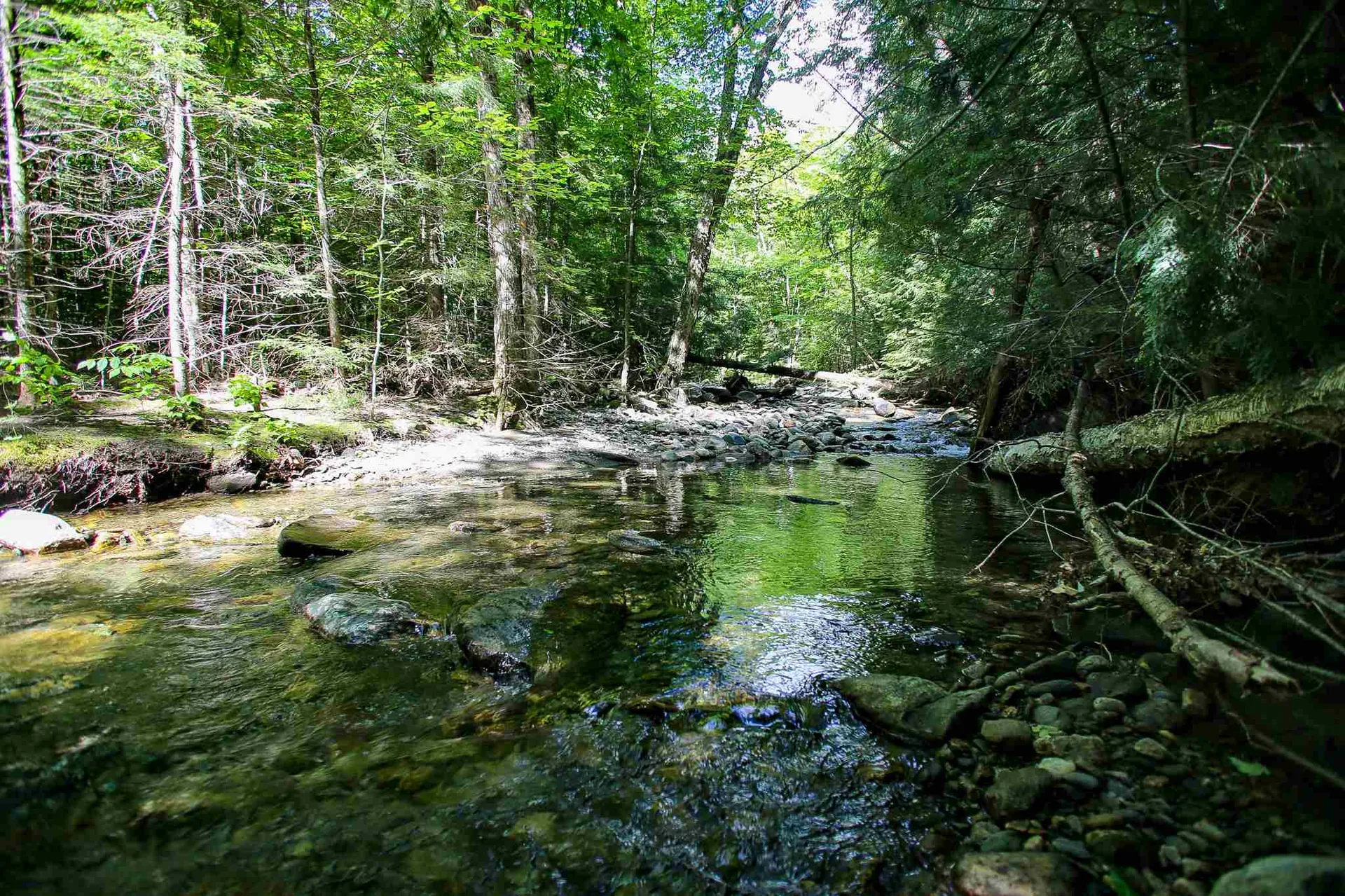 105 Mountain View Drive Jay VT 05859