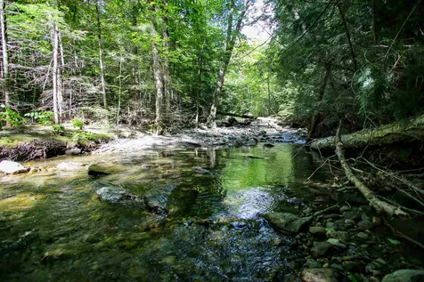 105 Mountain View Drive Jay VT 05859
