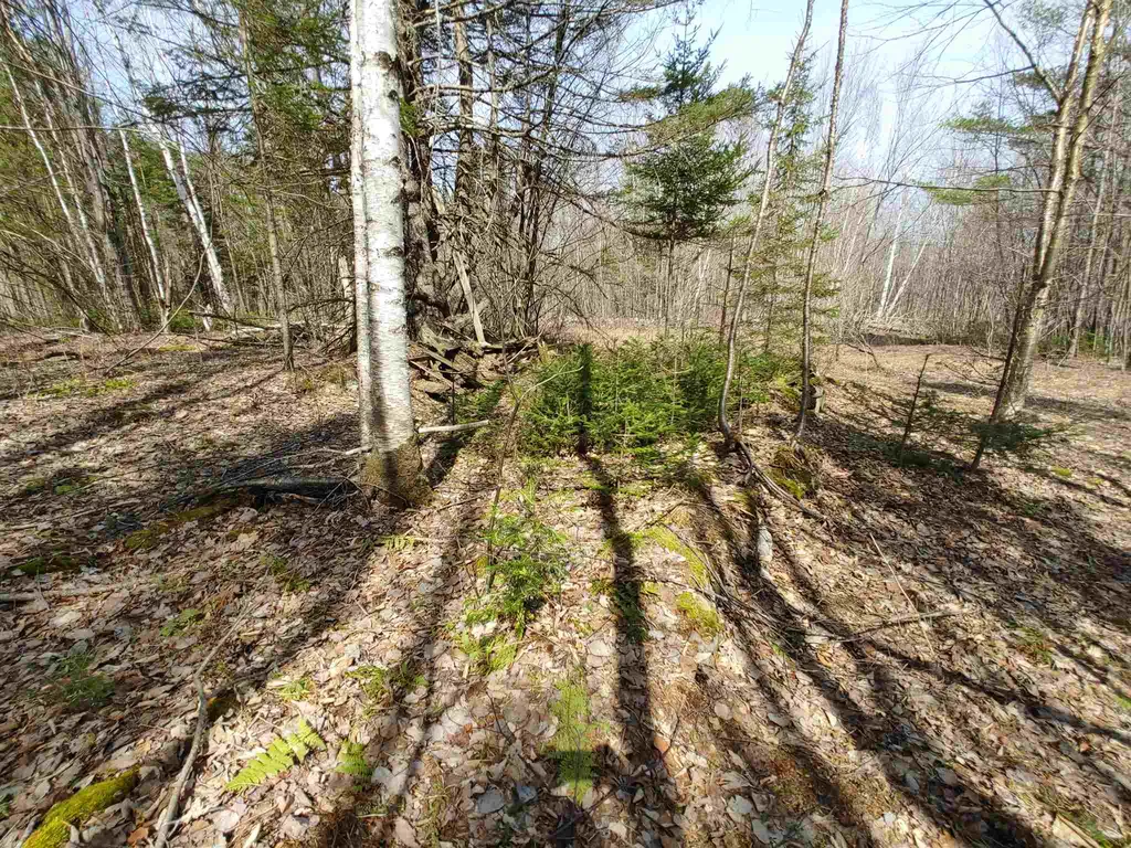 0 Keenan Pond Road Topsham VT 05076