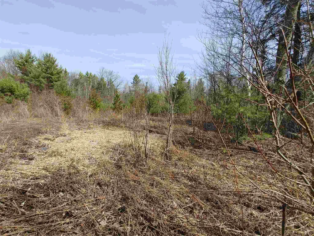 0 Keenan Pond Road Topsham VT 05076