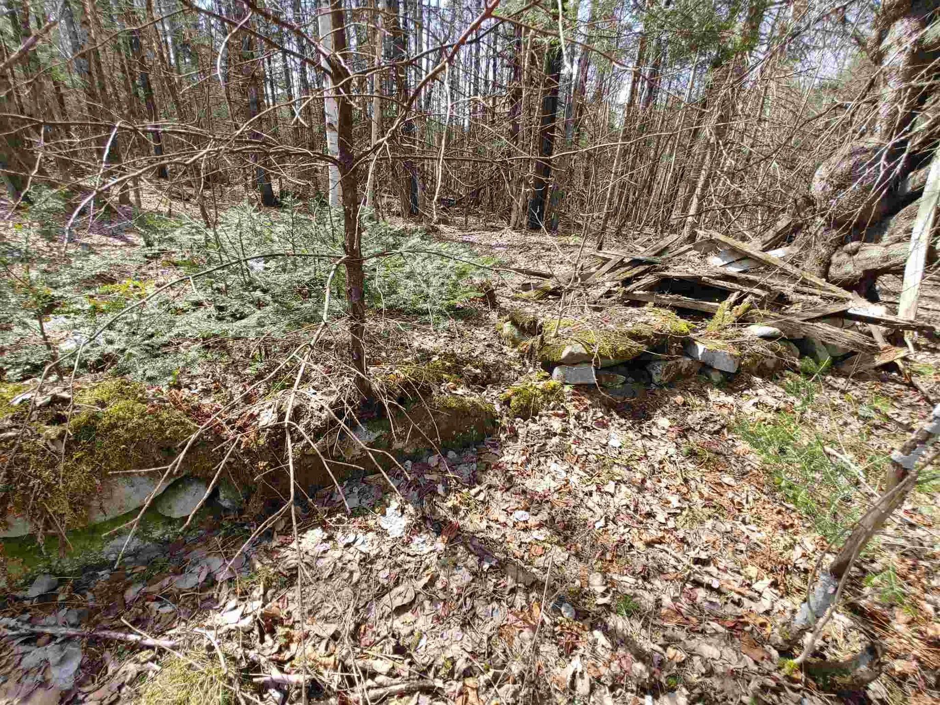 0 Keenan Pond Road Topsham VT 05076
