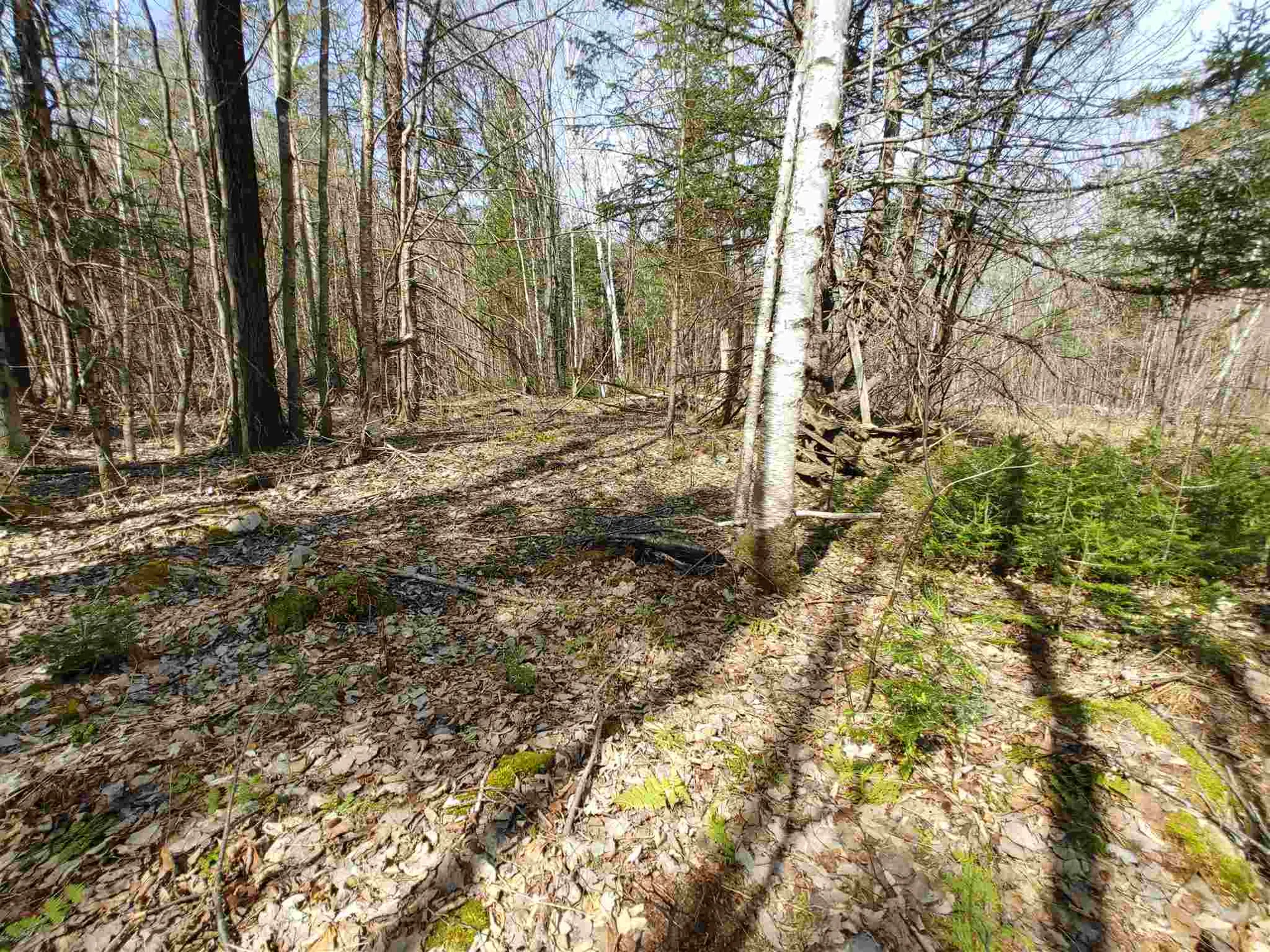 0 Keenan Pond Road Topsham VT 05076
