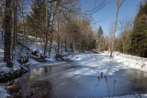 110 Browns Road Newfane VT 05345
