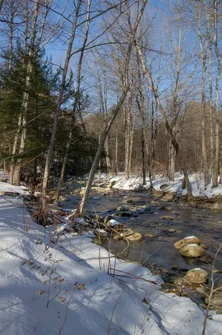 110 Browns Road Newfane VT 05345