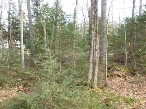 Lot 385 Enfield Lane Barnstead NH 03225