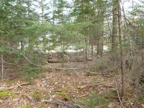 Lot 385 Enfield Lane Barnstead NH 03225
