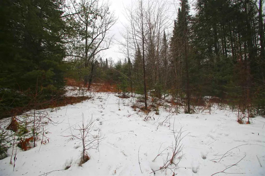 3653 Woodchuck Hollow Road Washington VT 05675