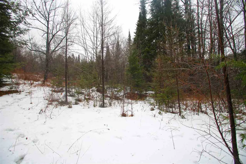 3653 Woodchuck Hollow Road Washington VT 05675