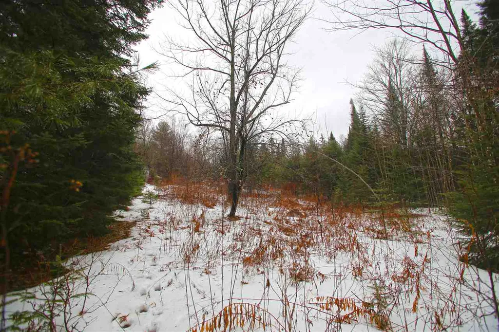 3653 Woodchuck Hollow Road Washington VT 05675