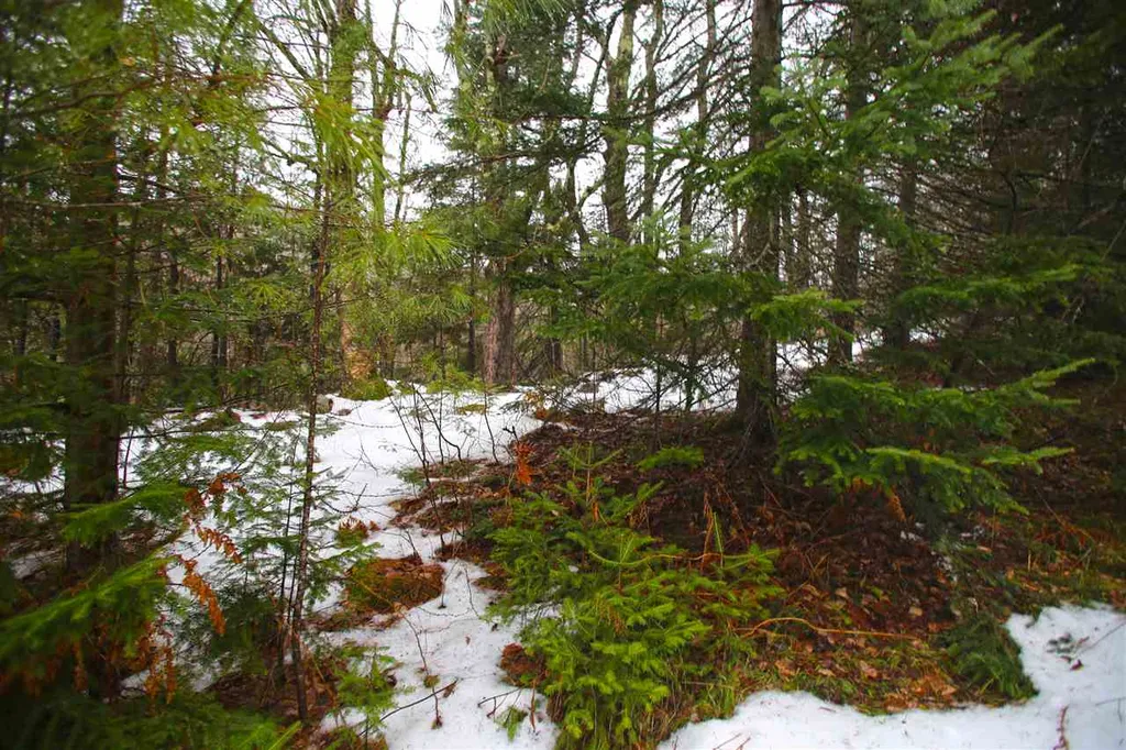 3653 Woodchuck Hollow Road Washington VT 05675