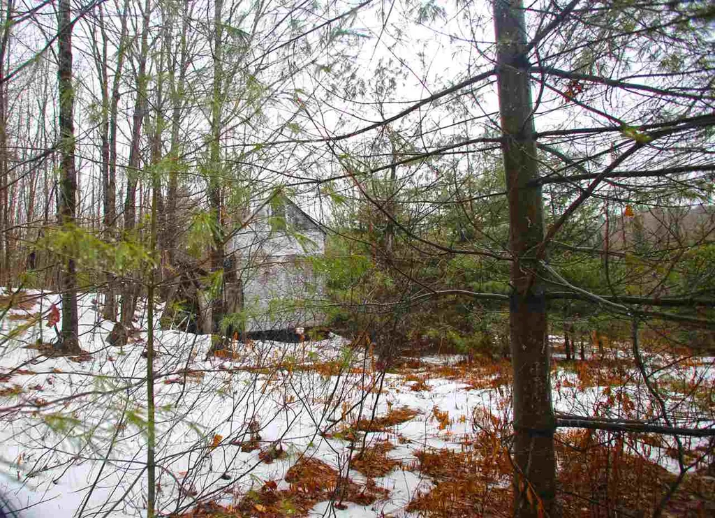 3653 Woodchuck Hollow Road Washington VT 05675