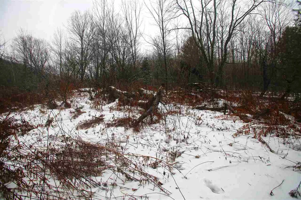 3653 Woodchuck Hollow Road Washington VT 05675