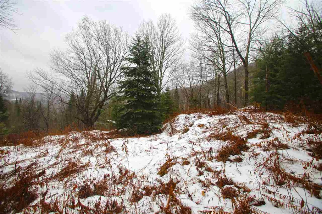 3653 Woodchuck Hollow Road Washington VT 05675