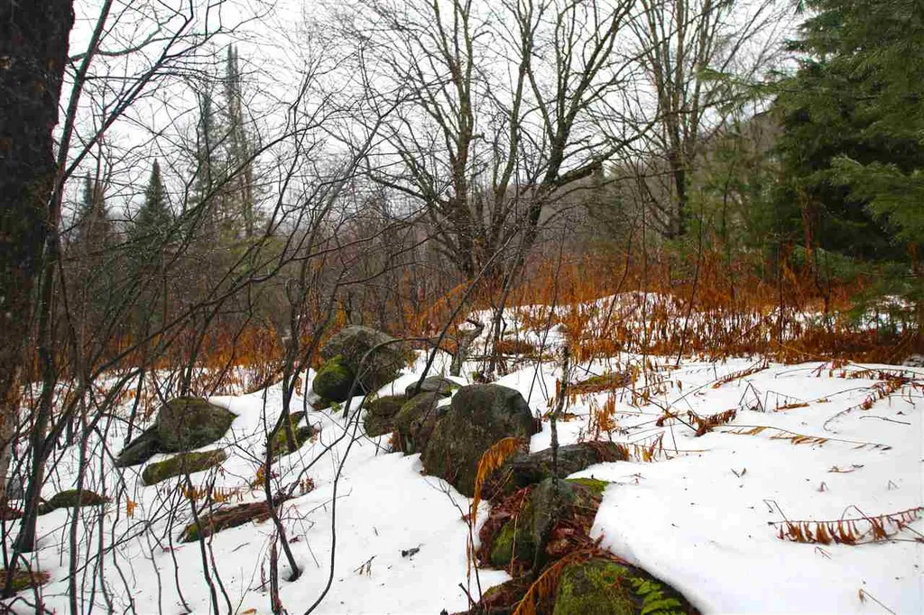 3653 Woodchuck Hollow Road Washington VT 05675