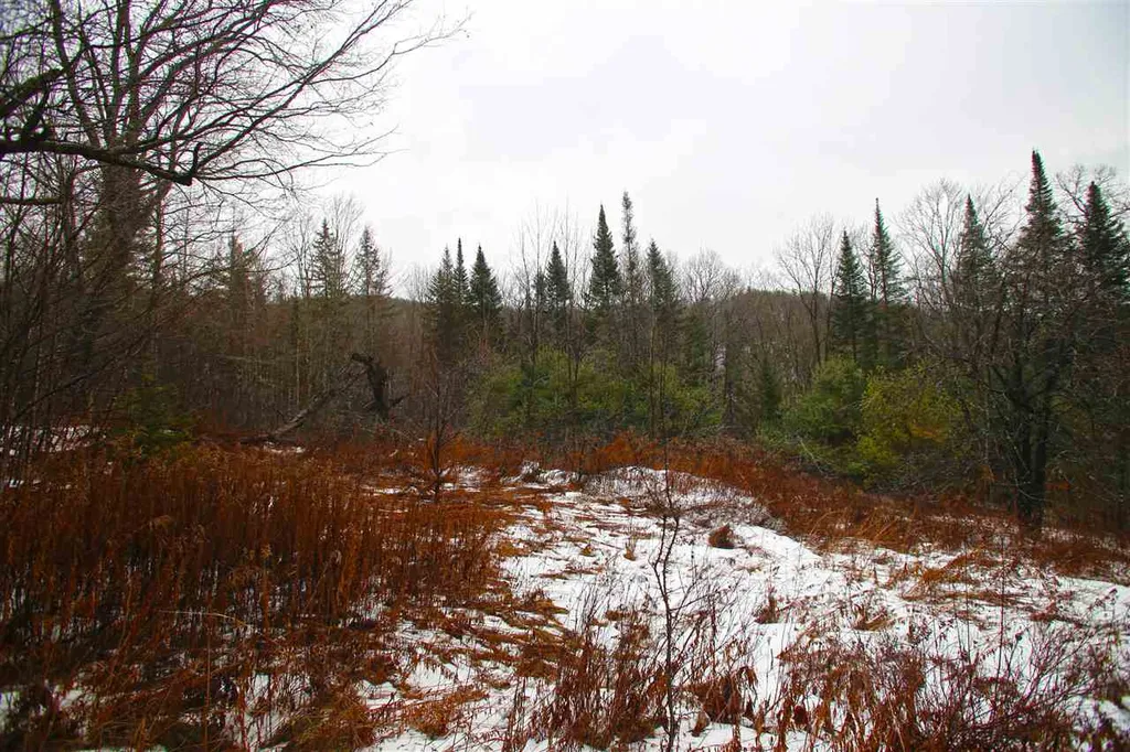 3653 Woodchuck Hollow Road Washington VT 05675