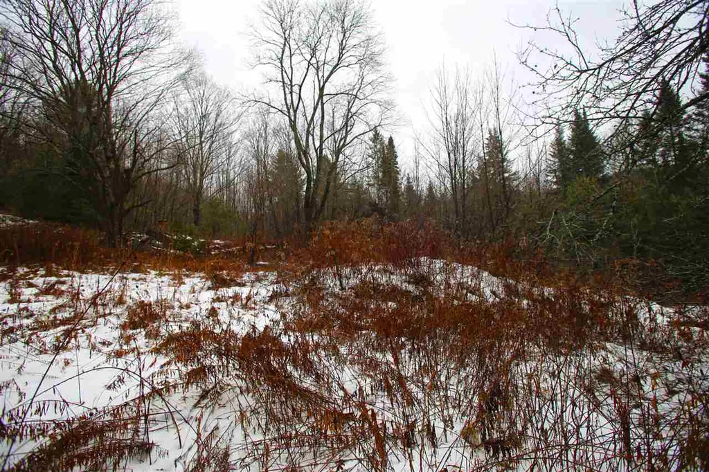 3653 Woodchuck Hollow Road Washington VT 05675