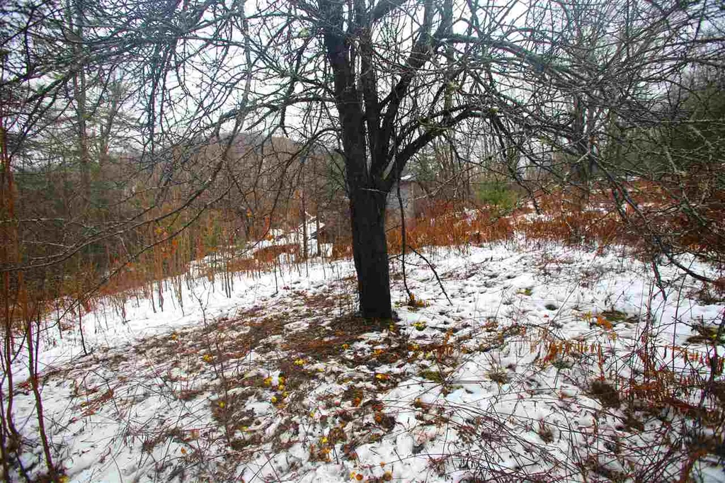 3653 Woodchuck Hollow Road Washington VT 05675