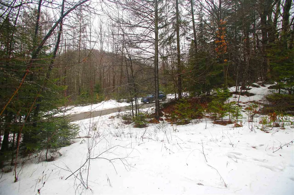 3653 Woodchuck Hollow Road Washington VT 05675