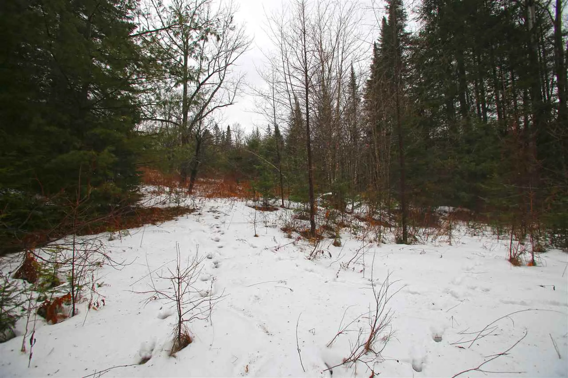 3653 Woodchuck Hollow Road Washington VT 05675