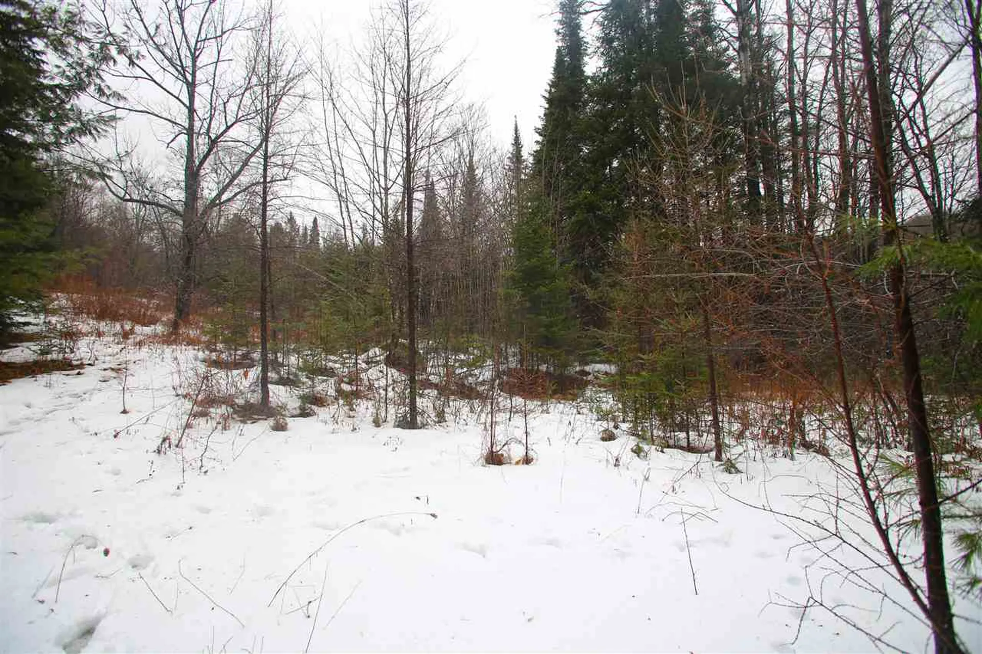 3653 Woodchuck Hollow Road Washington VT 05675