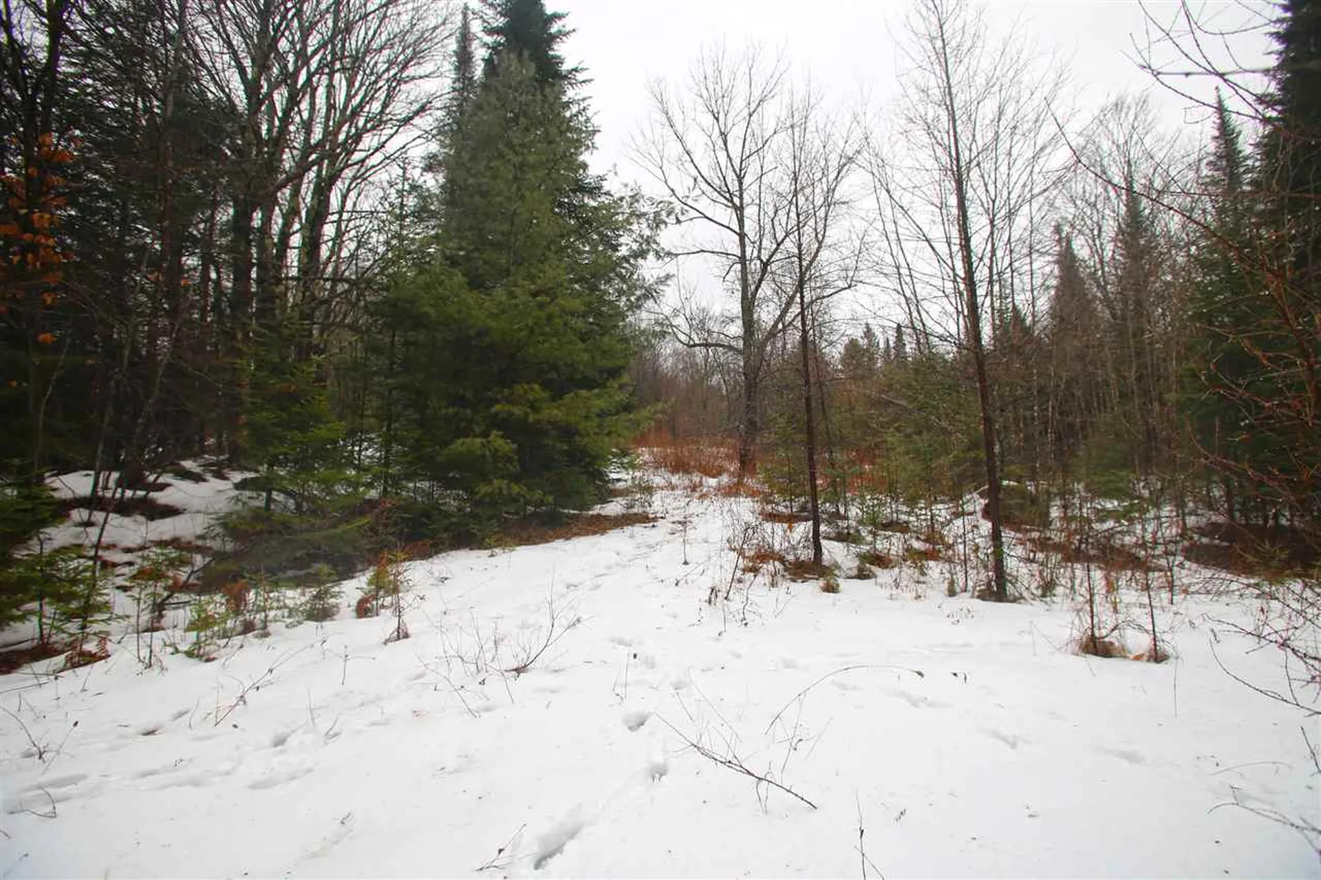 3653 Woodchuck Hollow Road Washington VT 05675