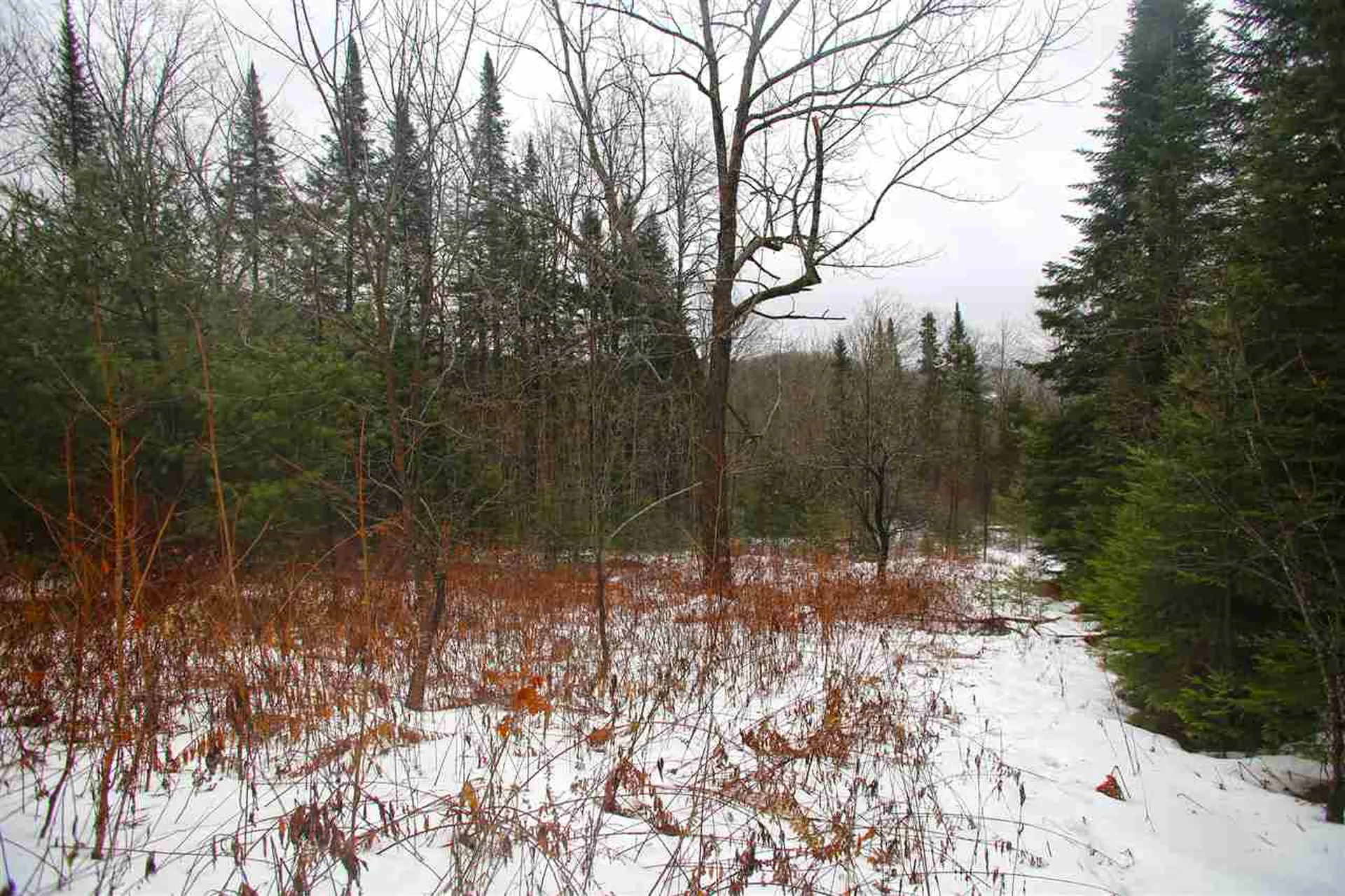 3653 Woodchuck Hollow Road Washington VT 05675