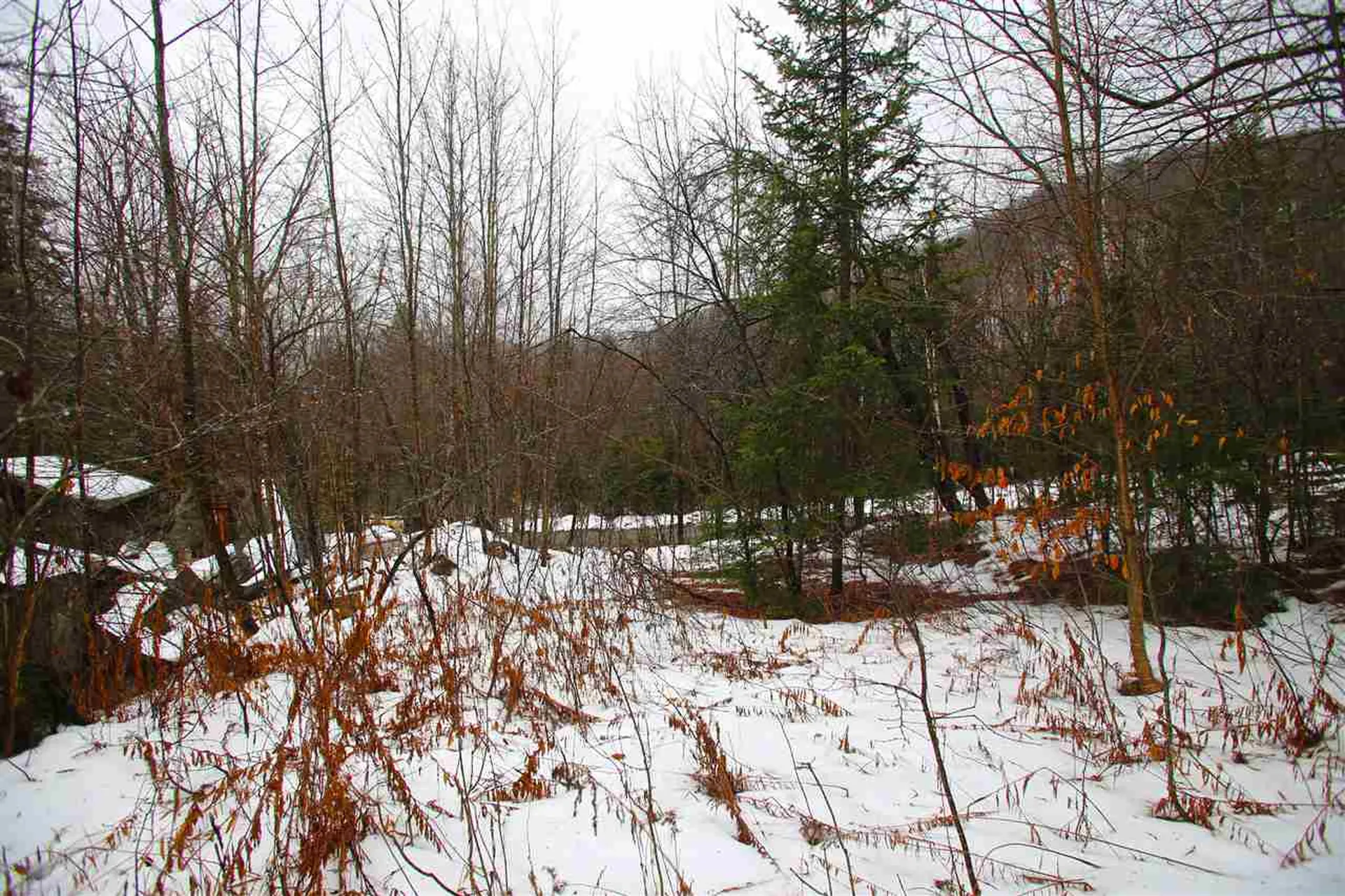 3653 Woodchuck Hollow Road Washington VT 05675