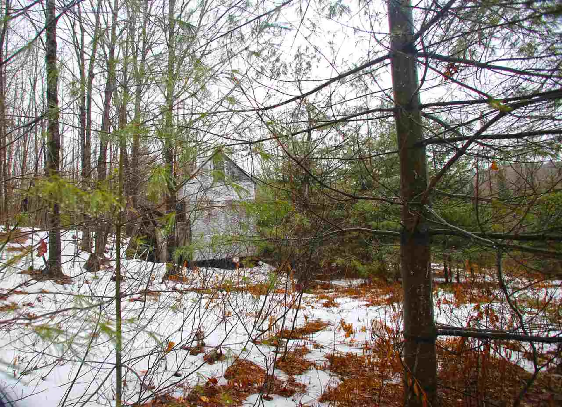 3653 Woodchuck Hollow Road Washington VT 05675