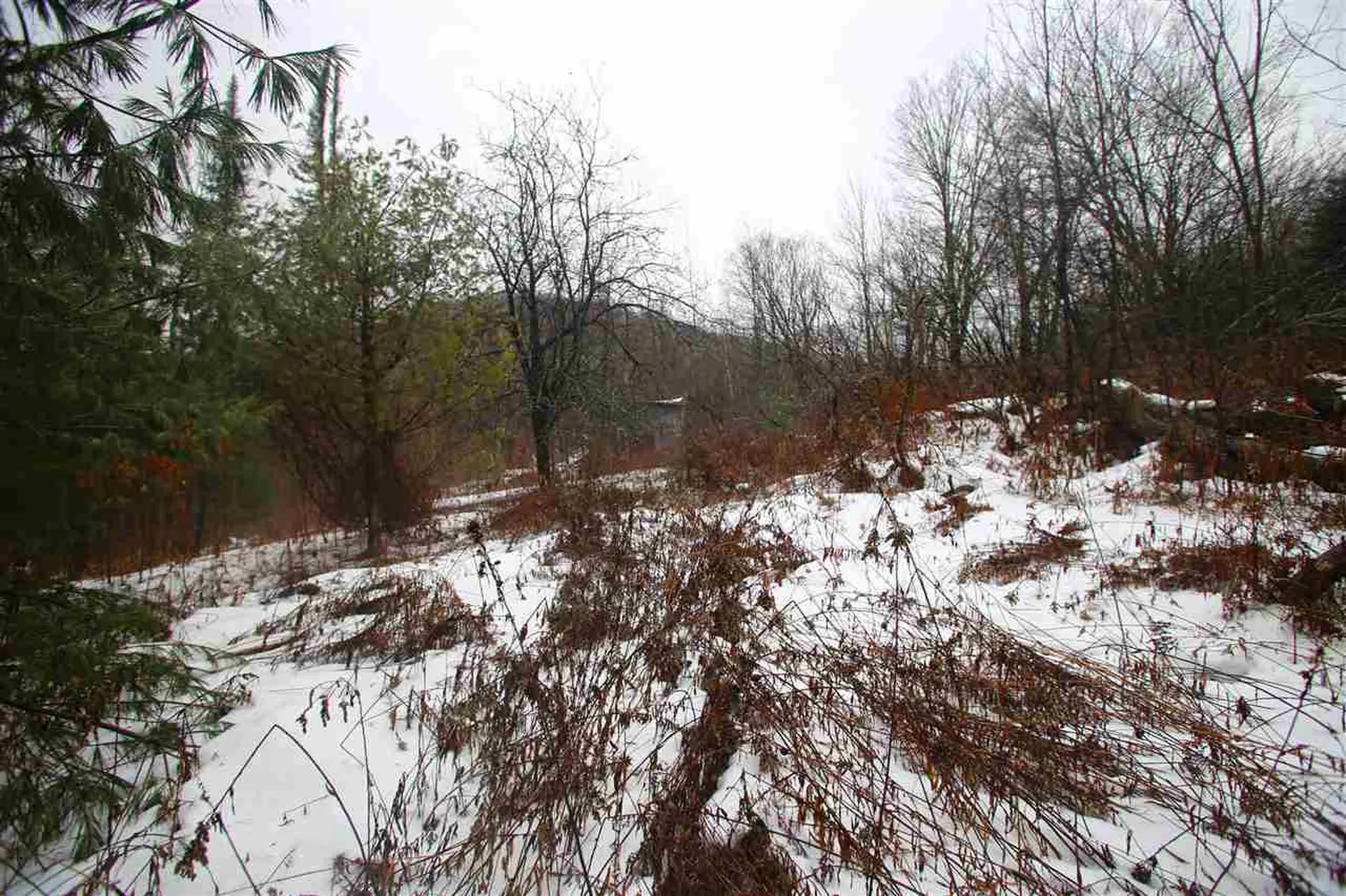 3653 Woodchuck Hollow Road Washington VT 05675