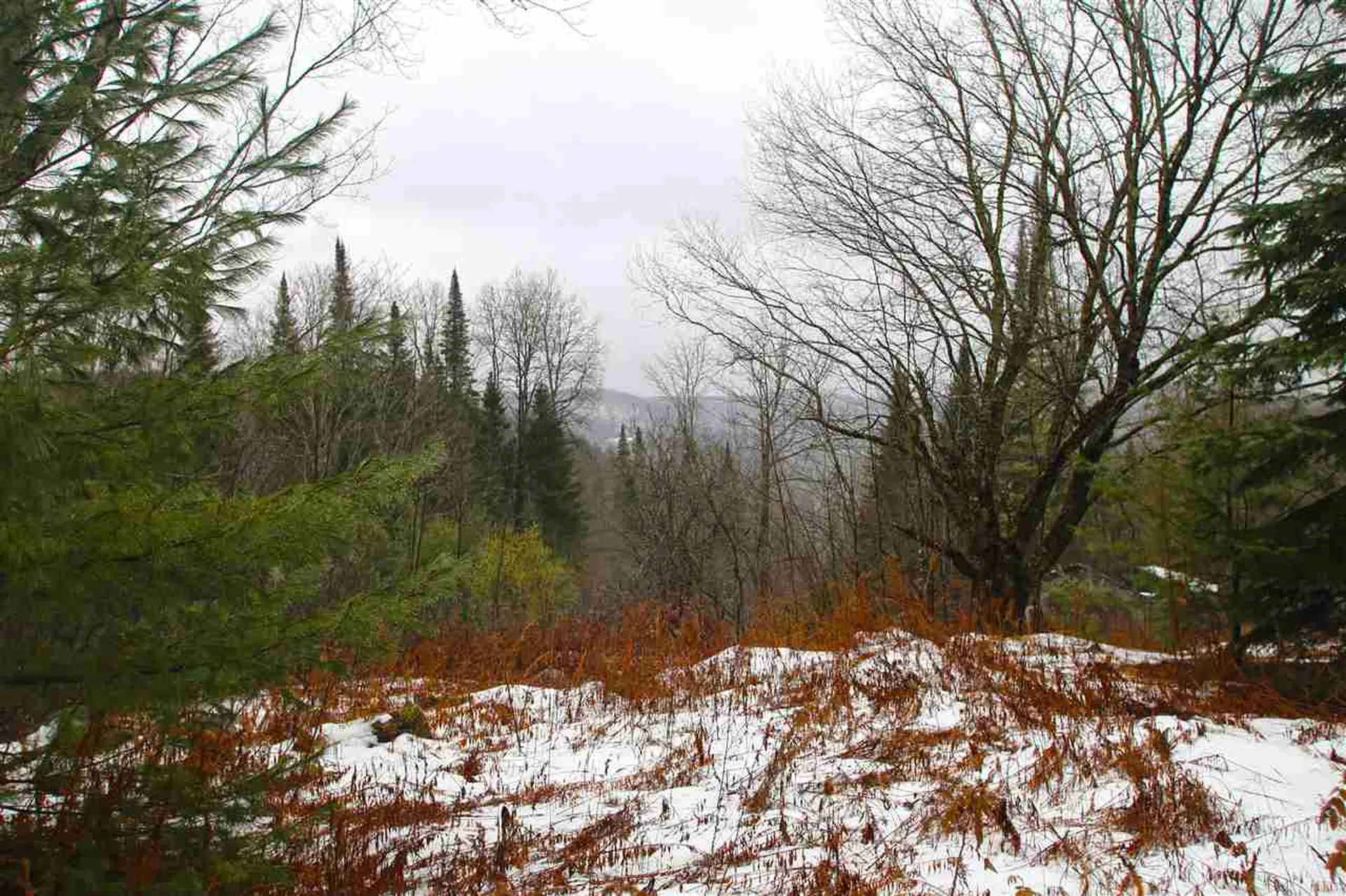 3653 Woodchuck Hollow Road Washington VT 05675