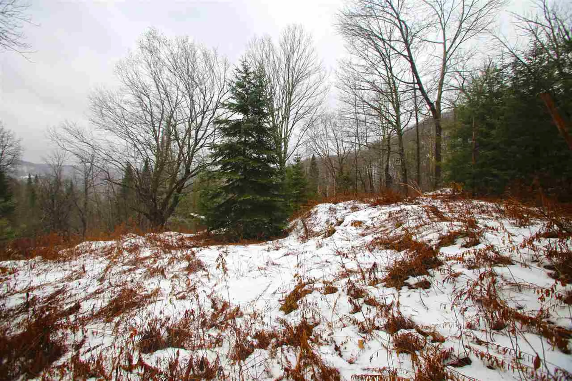 3653 Woodchuck Hollow Road Washington VT 05675