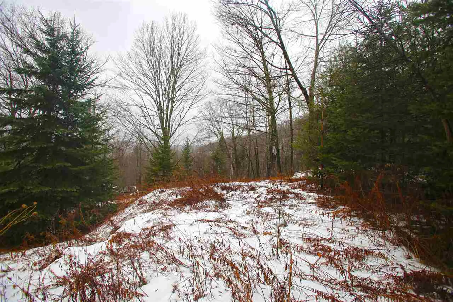 3653 Woodchuck Hollow Road Washington VT 05675