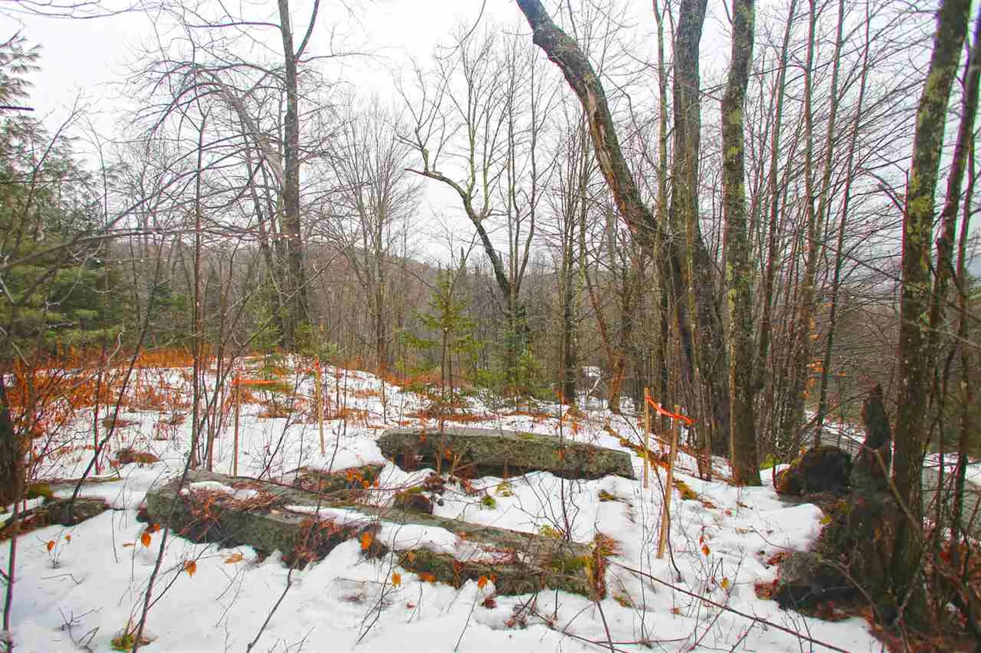 3653 Woodchuck Hollow Road Washington VT 05675