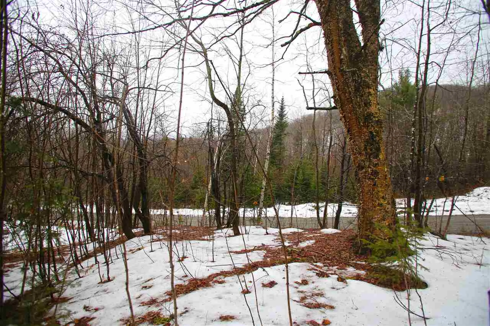 3653 Woodchuck Hollow Road Washington VT 05675