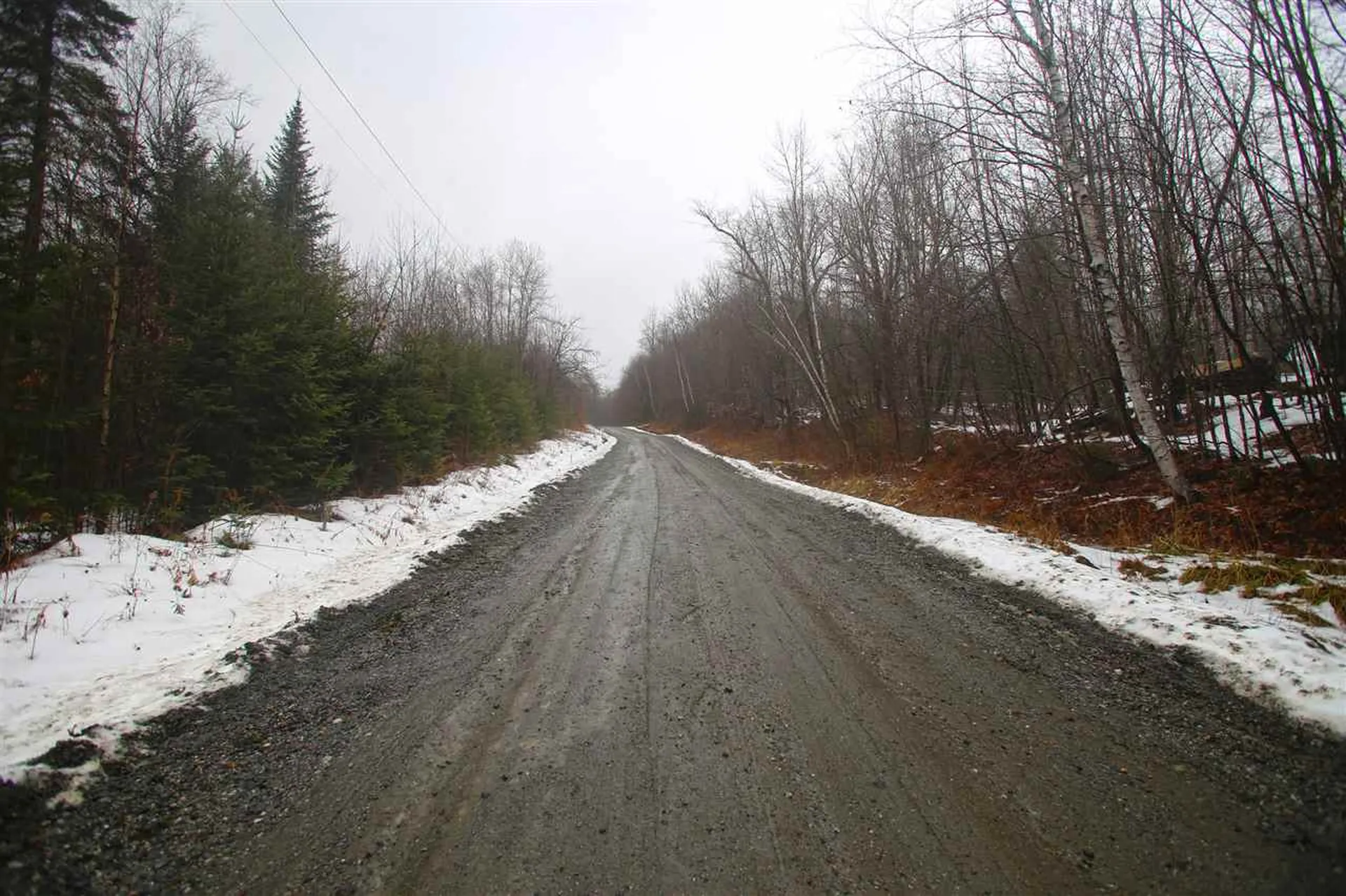 3653 Woodchuck Hollow Road Washington VT 05675