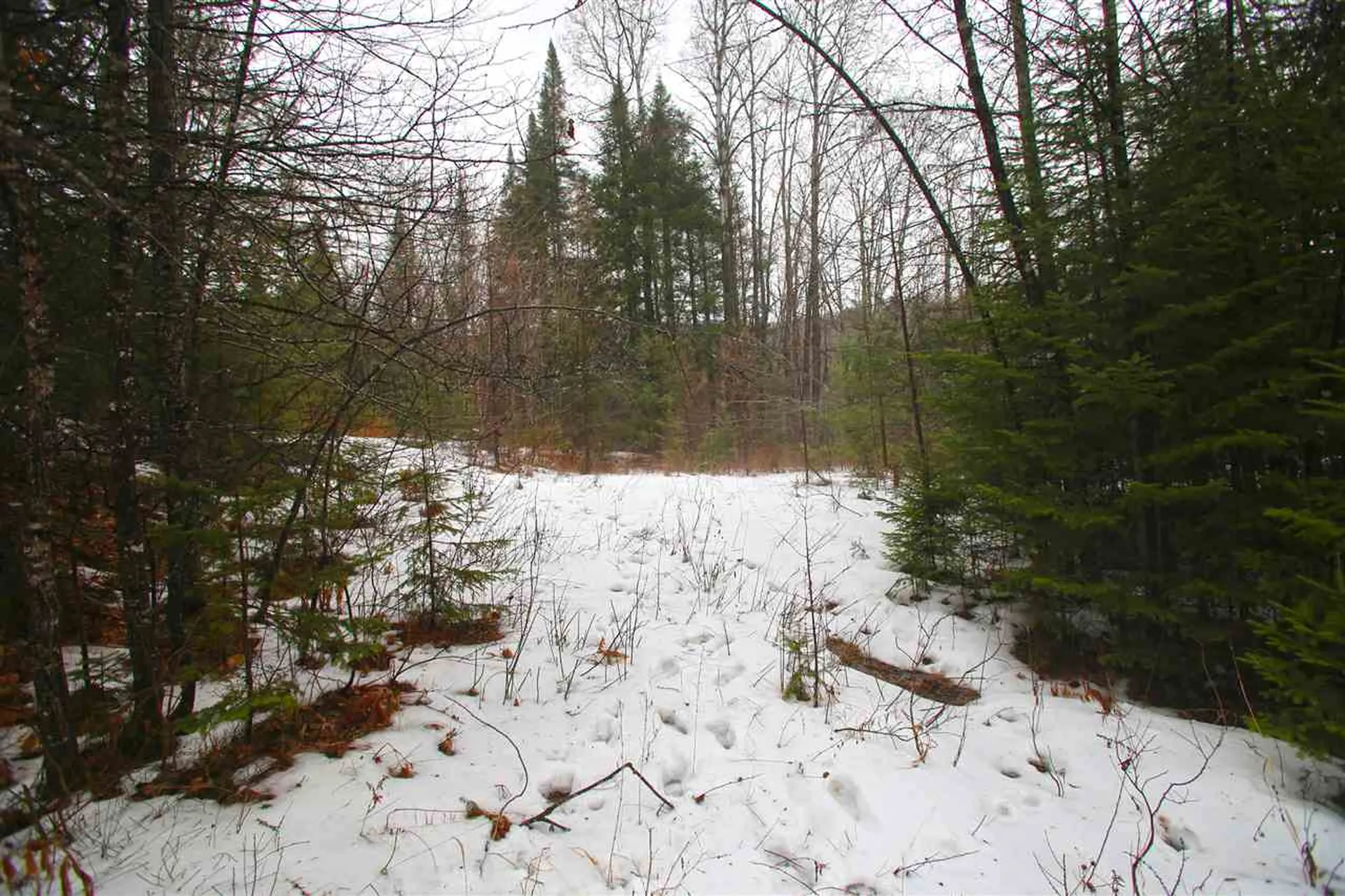 3653 Woodchuck Hollow Road Washington VT 05675