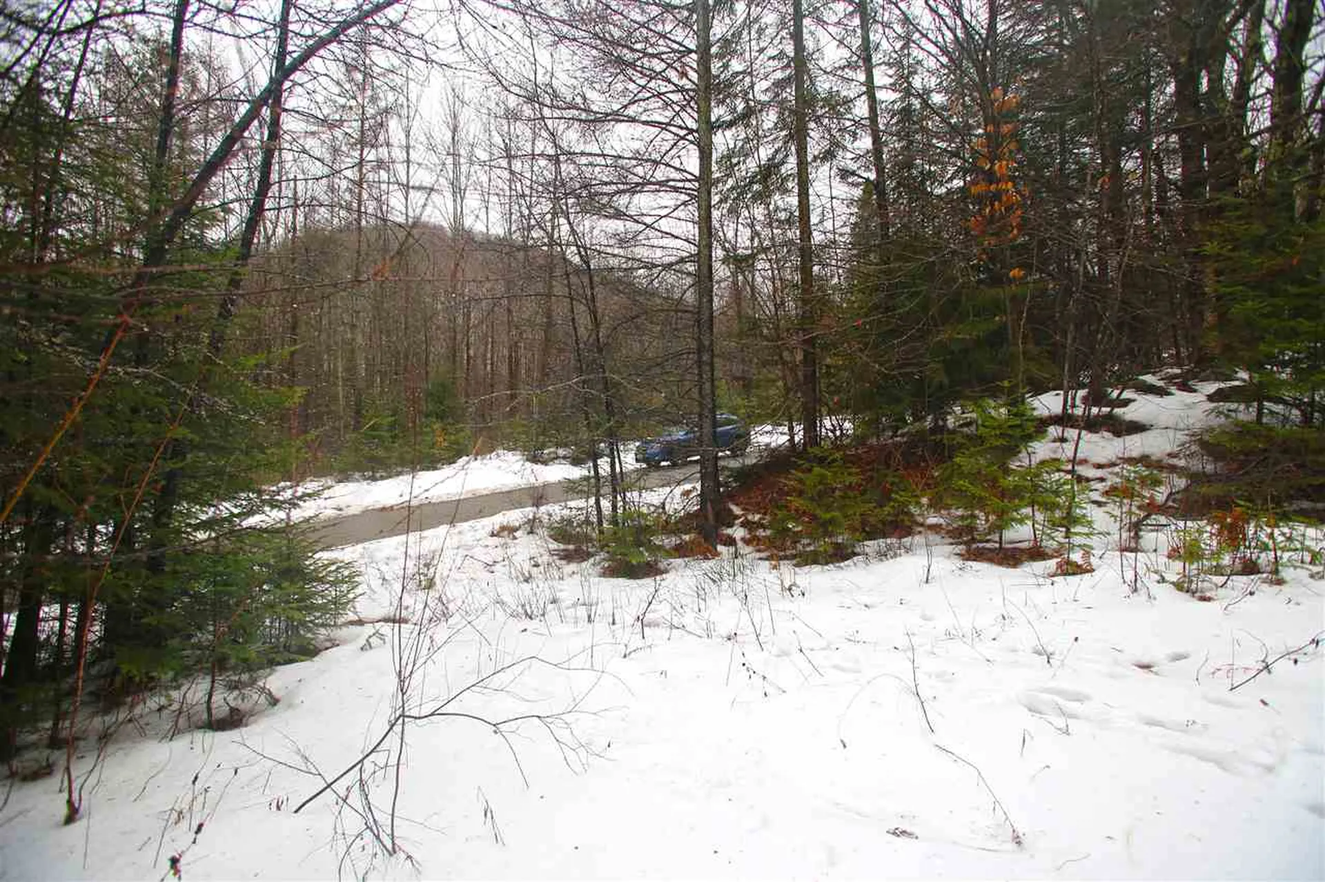 3653 Woodchuck Hollow Road Washington VT 05675