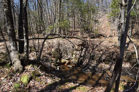 1173 Valley Road Washington NH 03280
