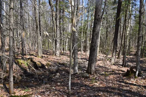 1173 Valley Road Washington NH 03280
