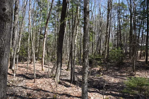 1173 Valley Road Washington NH 03280