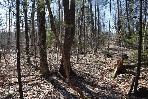 1173 Valley Road Washington NH 03280