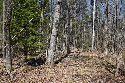 1173 Valley Road Washington NH 03280