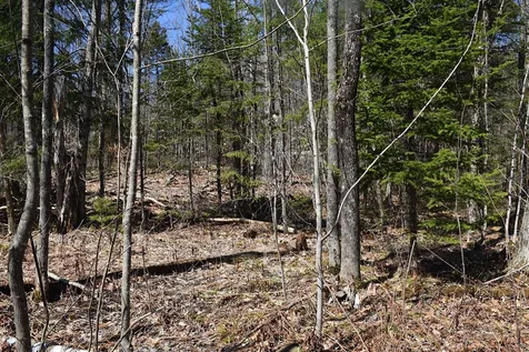 1173 Valley Road Washington NH 03280