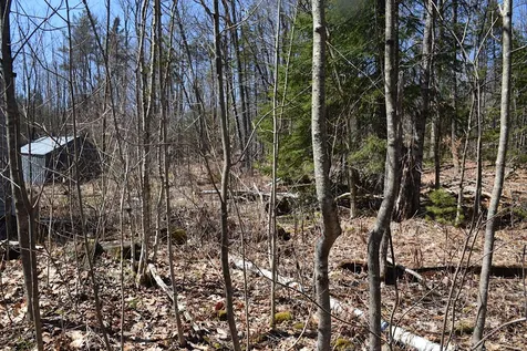 1173 Valley Road Washington NH 03280