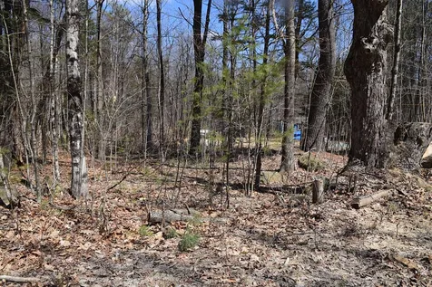 1173 Valley Road Washington NH 03280