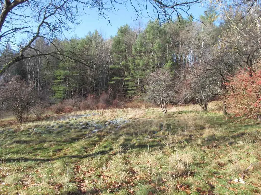 45 Pleasant Street Alstead NH 03602