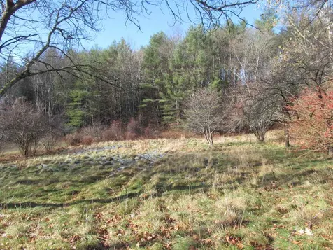 45 Pleasant Street Alstead NH 03602
