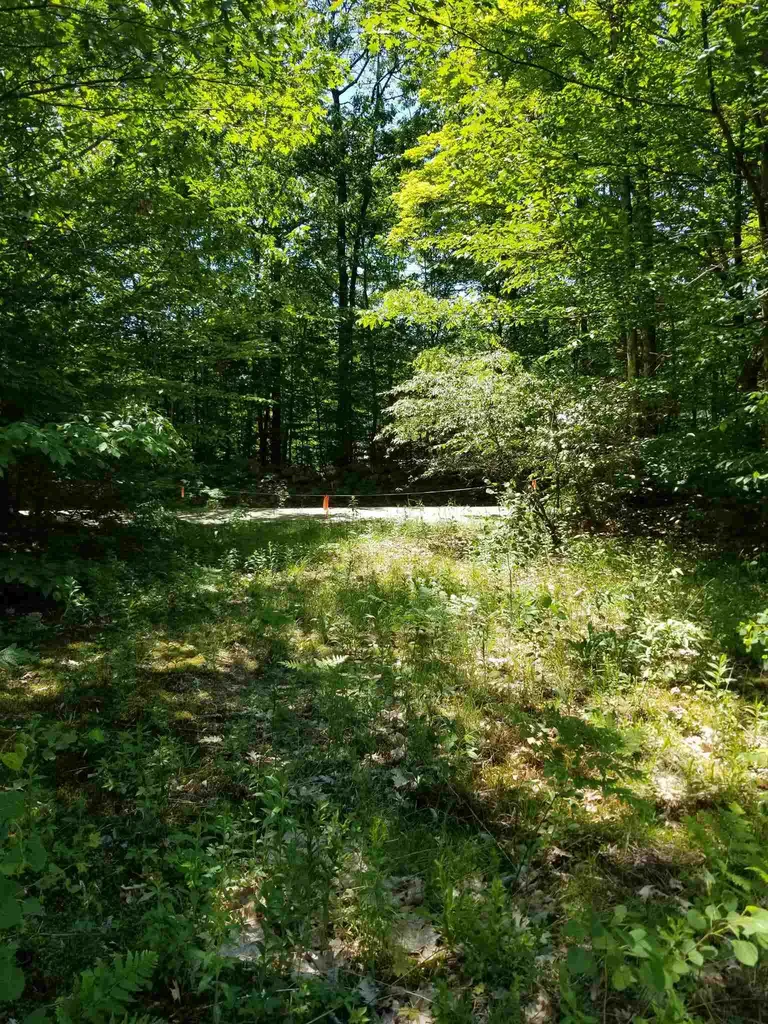 000 Trebo Road Chester VT 05143