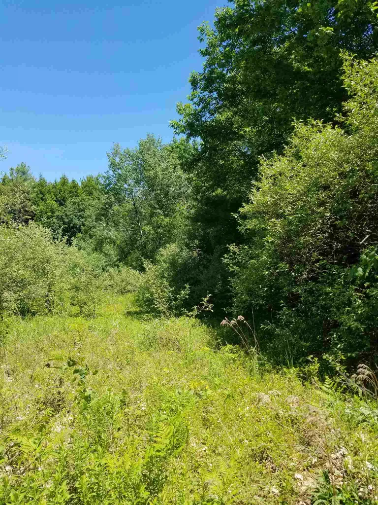 000 Trebo Road Chester VT 05143